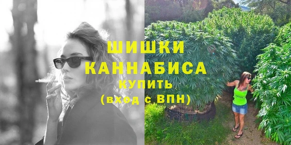 индика Верхний Тагил