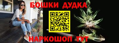 гашик Дубна