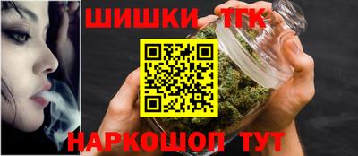 гашик Дубна