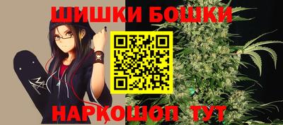 гашик Дубна