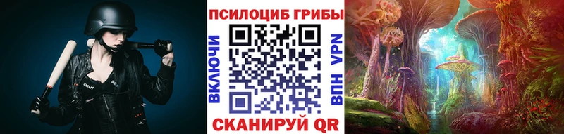 наркота  Ипатово  Галлюциногенные грибы Cubensis 