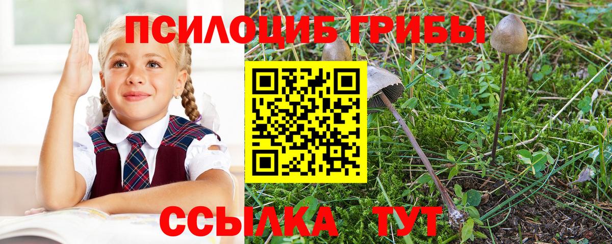 Галлюциногенные грибы мухоморы Ипатово